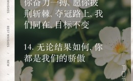 V体育官网-心系赛场，信念不灭，向着胜利勇往直前