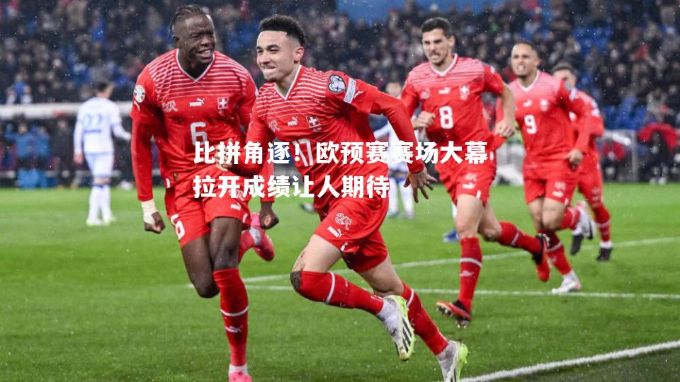 vsports体育-比拼角逐！欧预赛赛场大幕拉开成绩让人期待-第1张图片-V体育