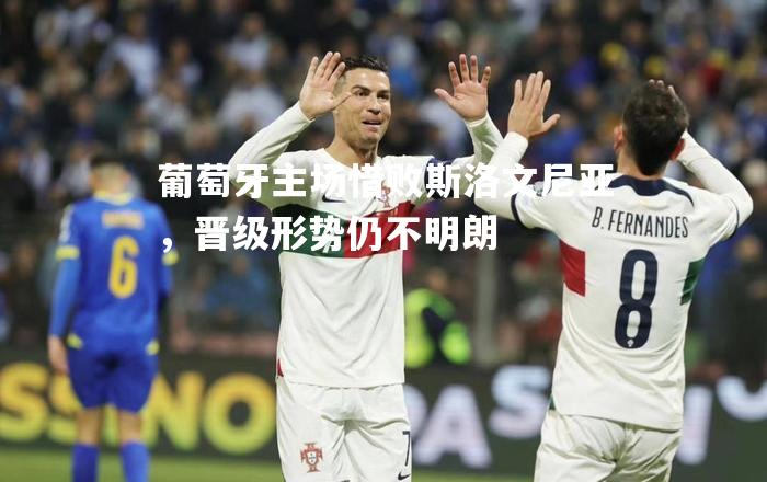 V体育官网-葡萄牙主场惜败斯洛文尼亚，晋级形势仍不明朗-第2张图片-V体育
