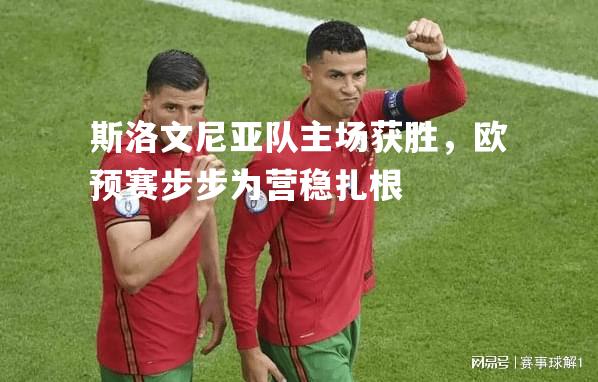 vsports体育-斯洛文尼亚队主场获胜，欧预赛步步为营稳扎根-第1张图片-V体育
